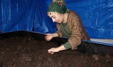 3 milyon solucanla gübre üreten çiftçi kadın